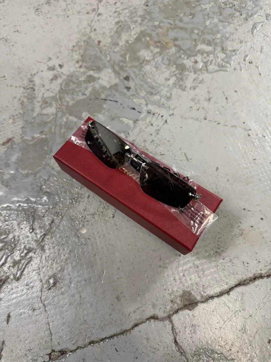 Cartier CT0544S 003 Shiny Platinum Silver Sunglasses svJPEit 6