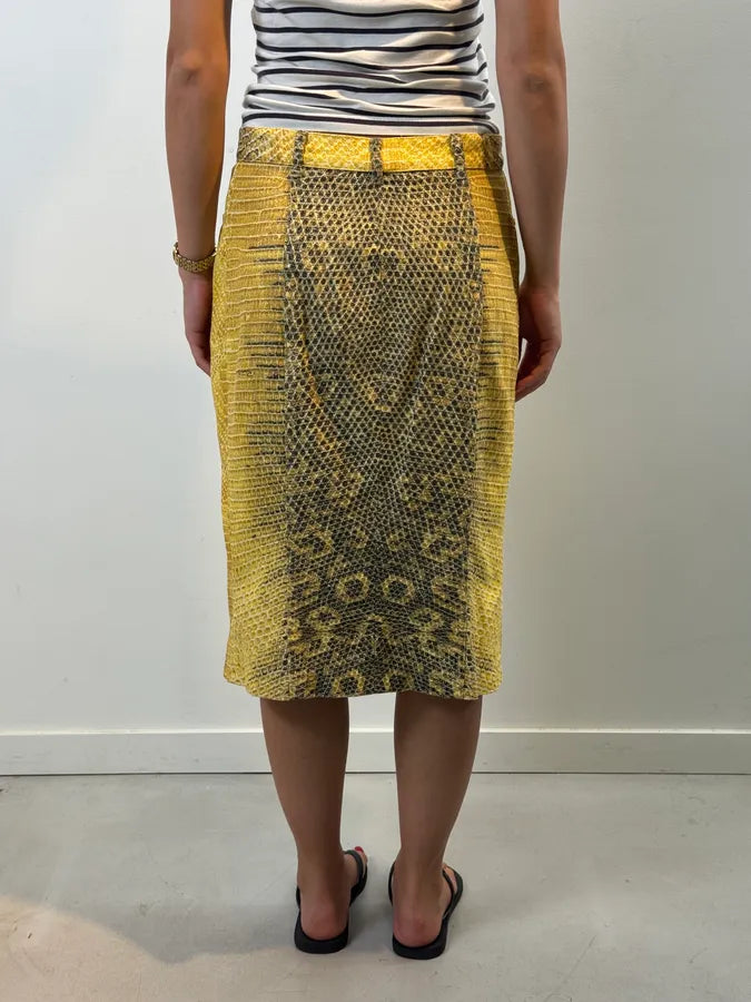 2000s Roberto Cavalli Python Bees Skirt PwaqzmM 2