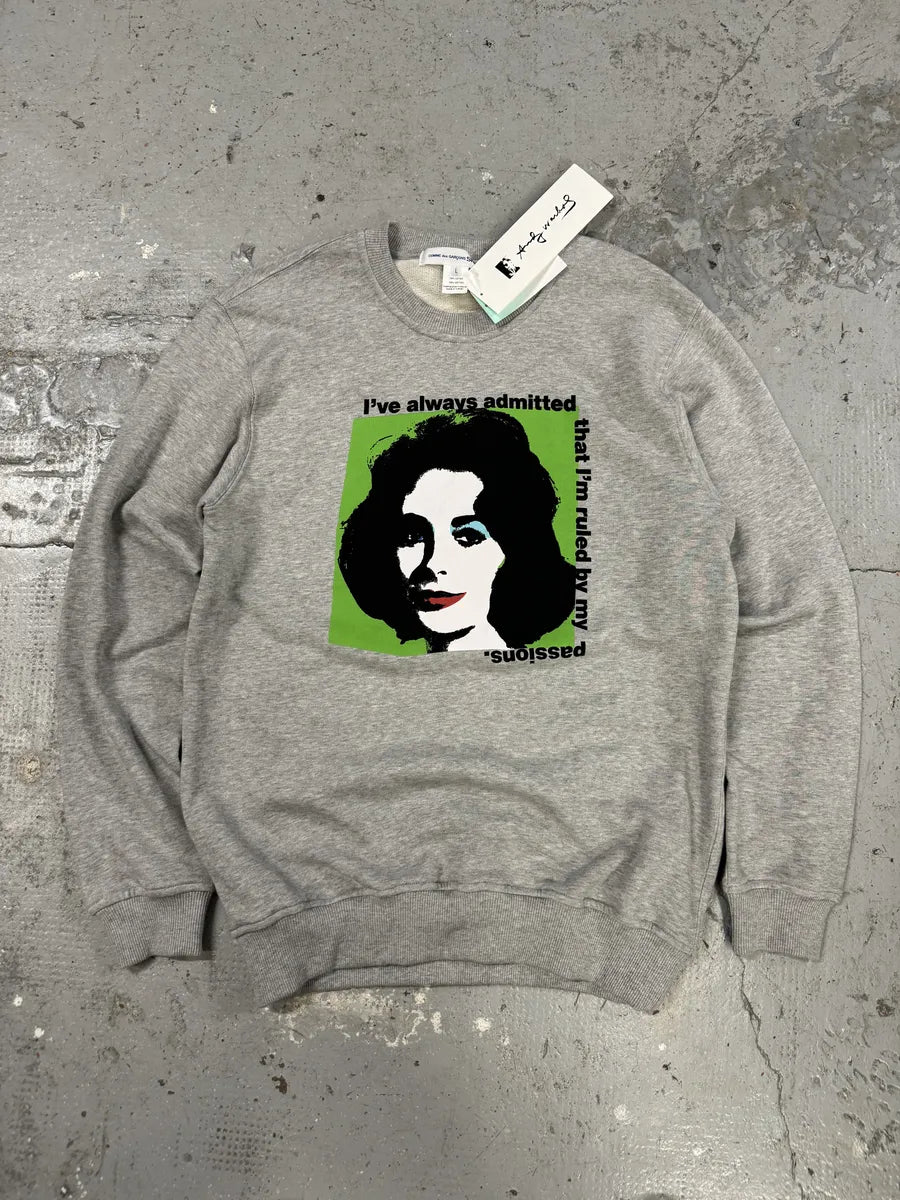 Comme des Garçons SHIRT Andy Warhol Grey Sweater bVlkOJG 0