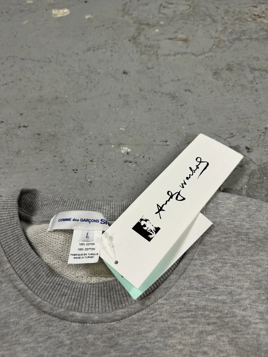 Comme des Garçons SHIRT Andy Warhol Grey Sweater (M) bVlkOJG 4