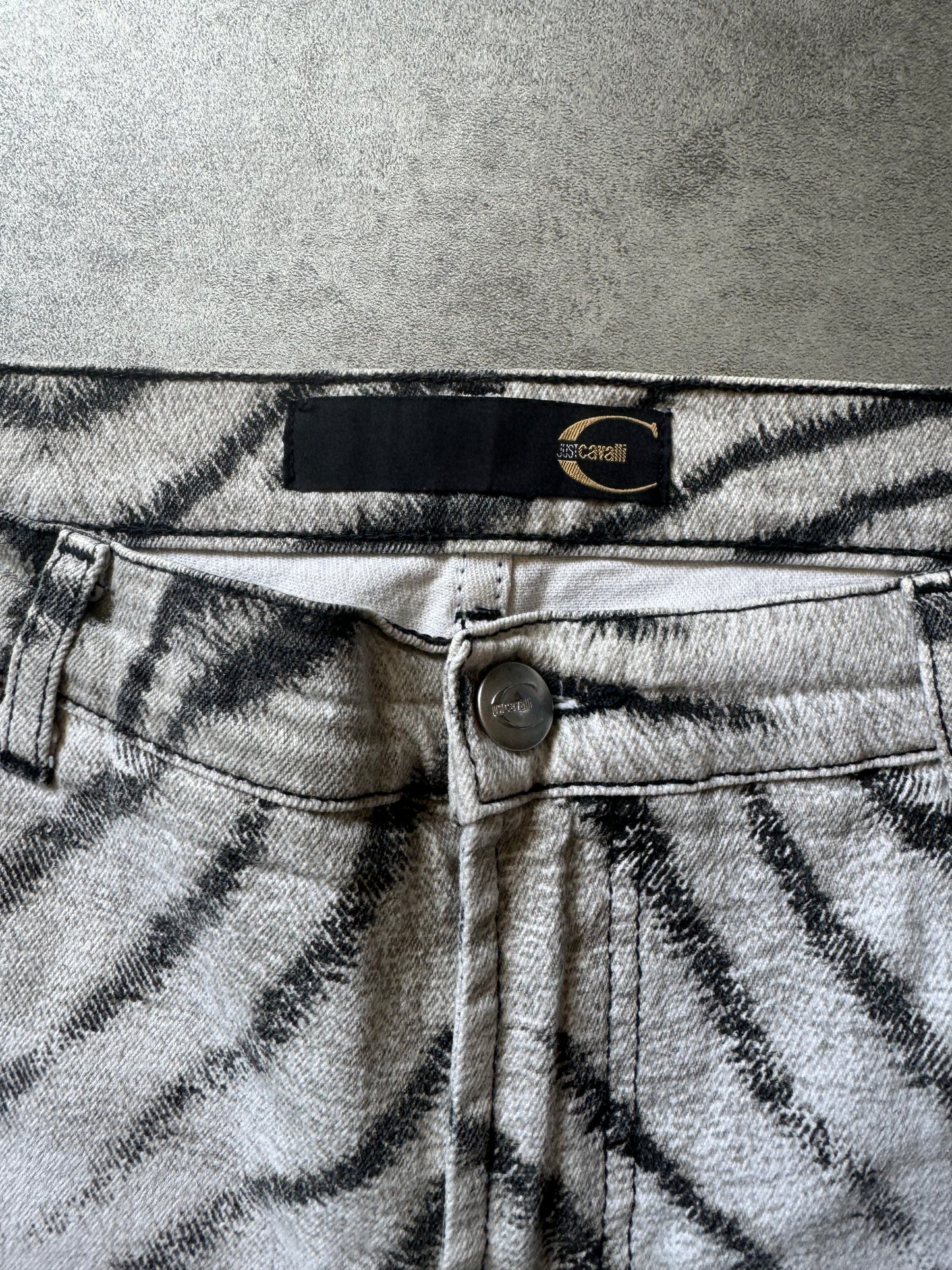 SS2002 Cavalli Zebra Savage Pants  (M) - 7