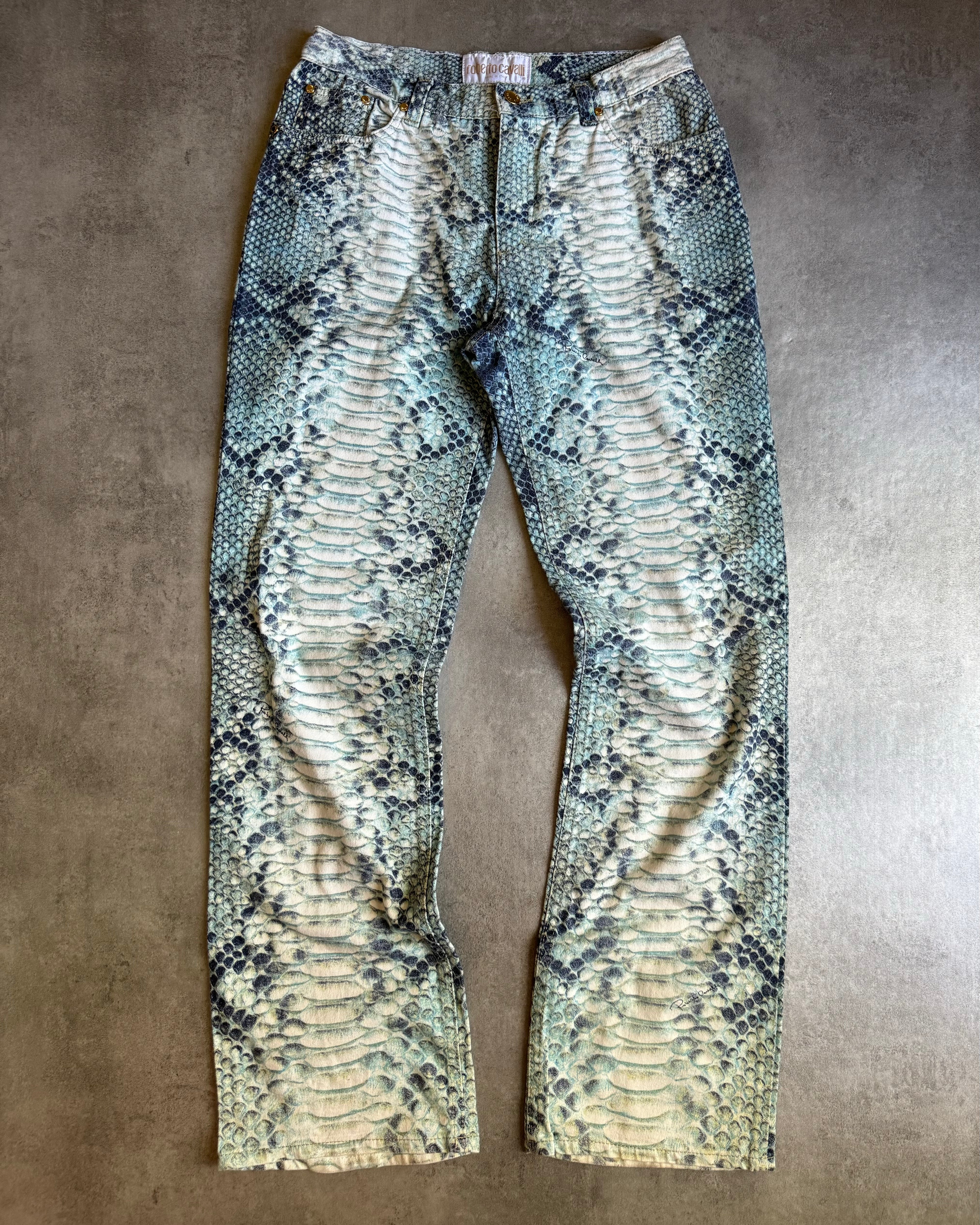 AW2002 Roberto Cavalli Aqua Scales Python Effect Pants  (S) - 9