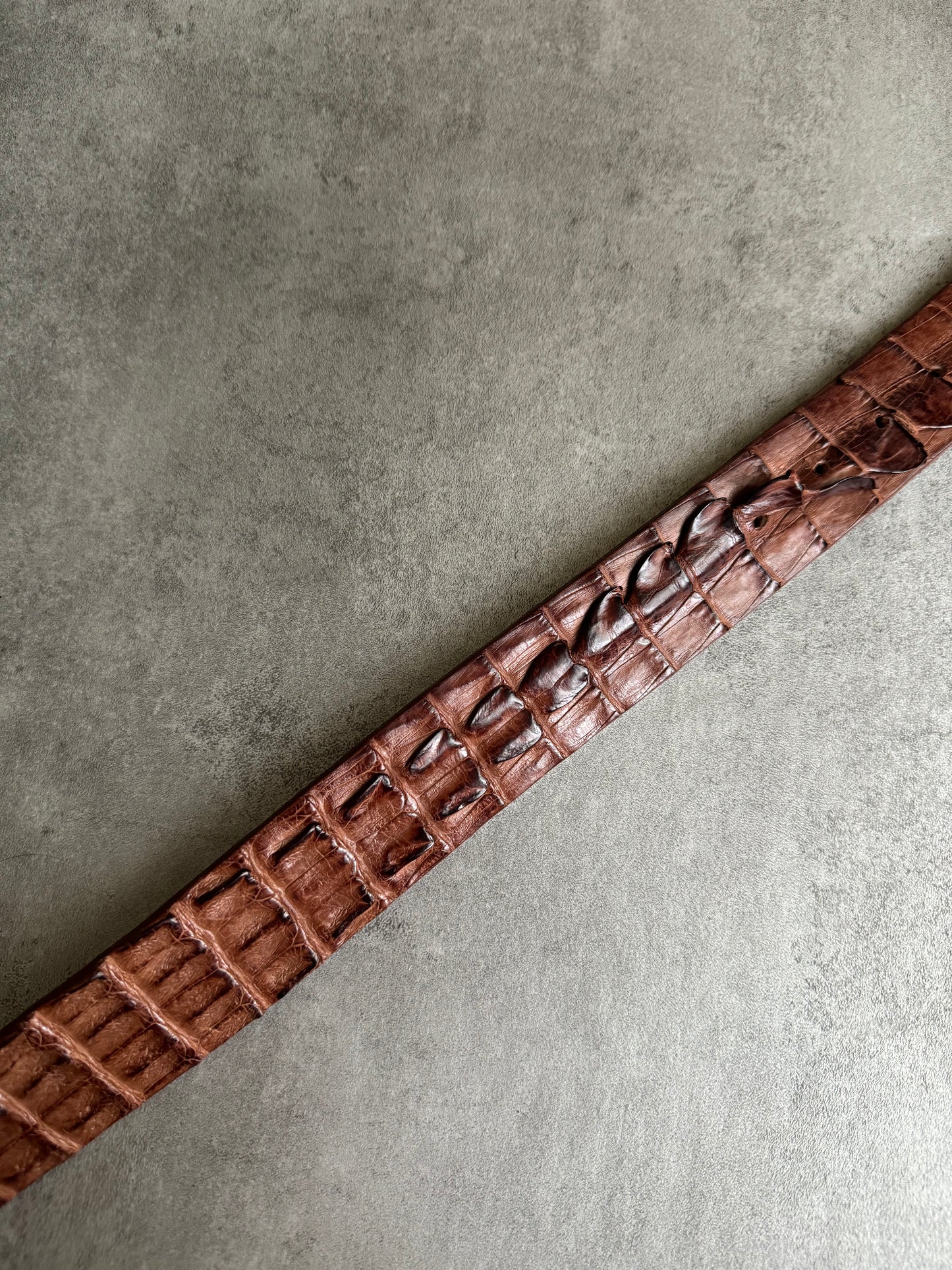 2000s Prada Brown Crocodile Leather Relief Belt  (OS) - 3