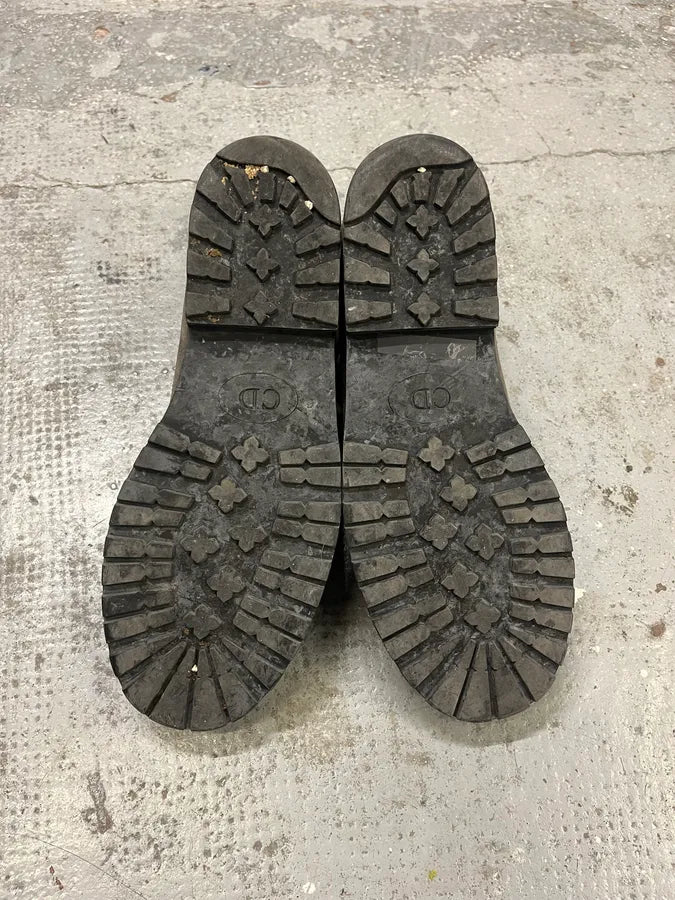 Dior Laces Suede Leather Tern Ankle Boots DJAqFQP 10