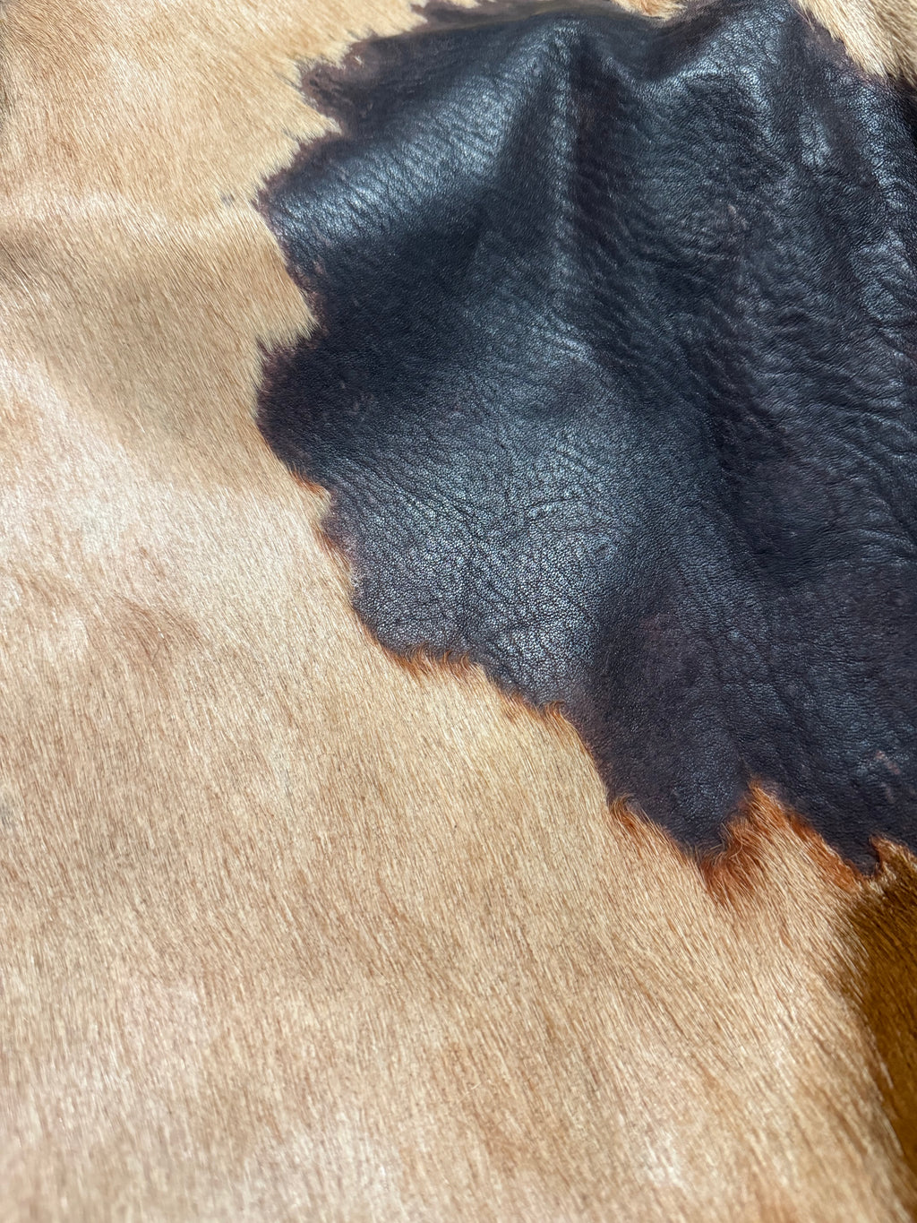 Artisanal Cow Leather Relief Pony Hair Italian Beige Pants (XS/S) - 8