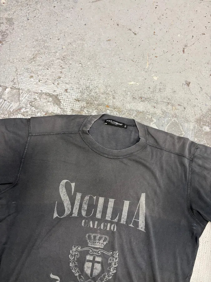 2000s Dolce & Gabbana Grey Sicilia Crest Graphic T-Shirt asHVUgK 3