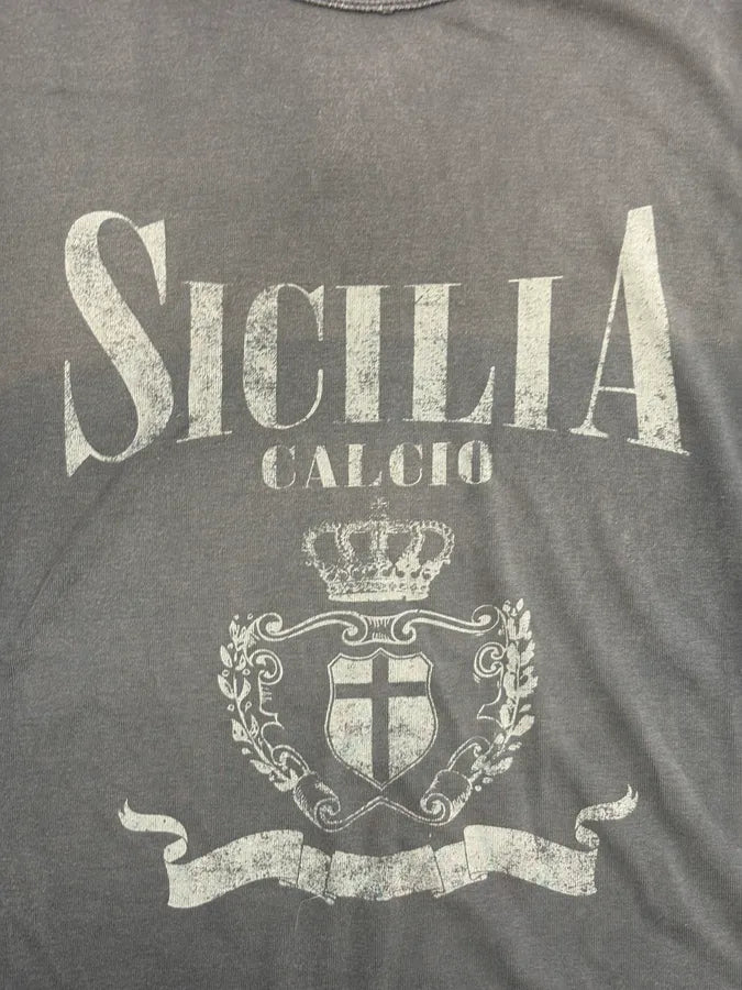 2000s Dolce & Gabbana Grey Sicilia Crest Graphic T-Shirt asHVUgK 6