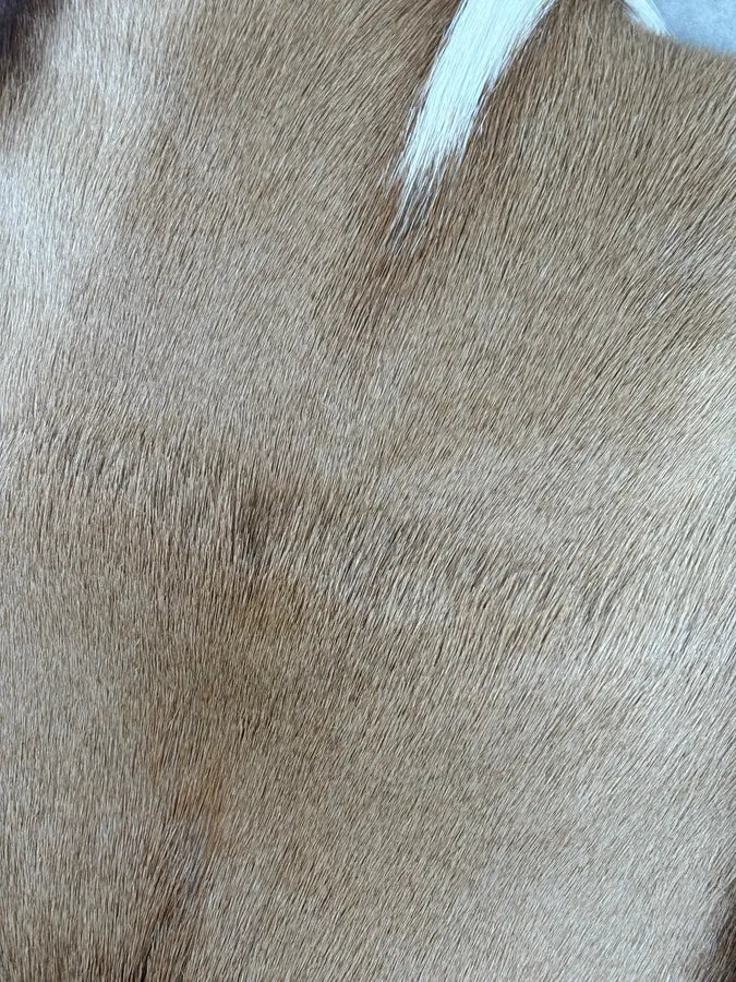 SS2015 Dries Van Noten Fur Beige Leather Shoulder Bag qbtxsmy 16