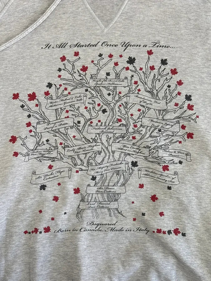AW2006 Dsquared2 Grey Tree of Life Hoodie iZzIzeV 4