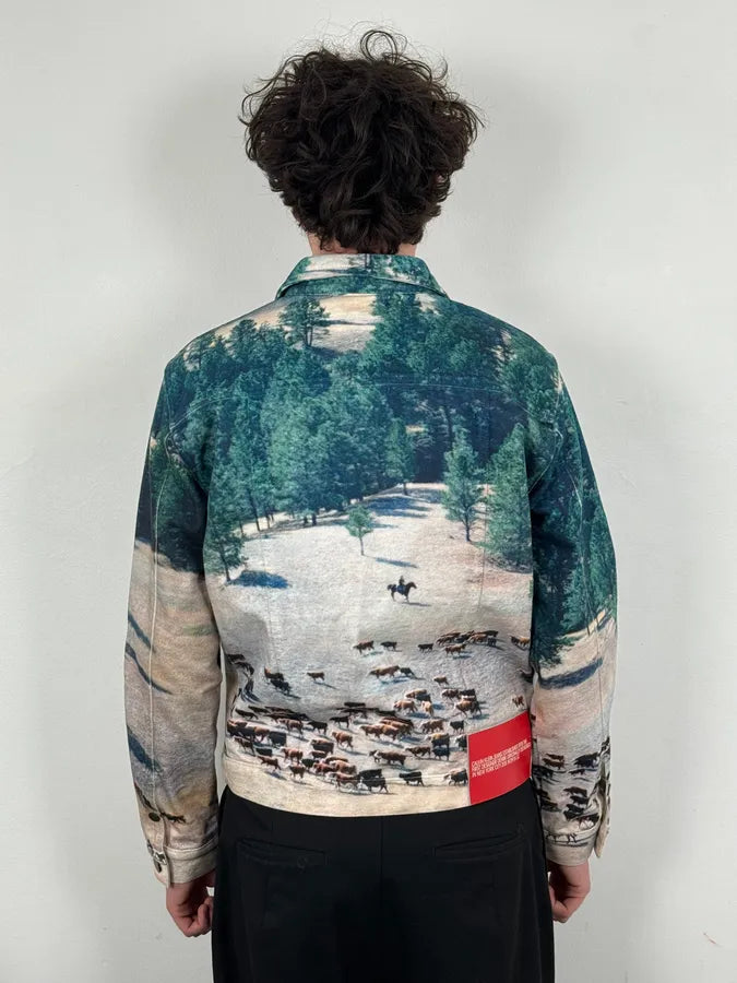 AW2018 Calvin Klein Printed Landscape Scene Graphic Denim Jacket KdsbWWP 2