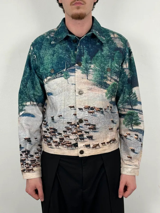 AW2018 Calvin Klein Printed Landscape Scene Graphic Denim Jacket KdsbWWP 1