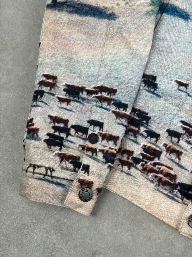 AW2018 Calvin Klein Printed Landscape Scene Graphic Denim Jacket KdsbWWP 8