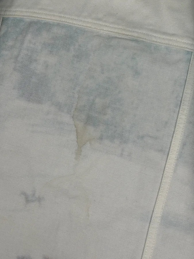 AW2018 Calvin Klein Printed Landscape Scene Graphic Denim Jacket KdsbWWP 12