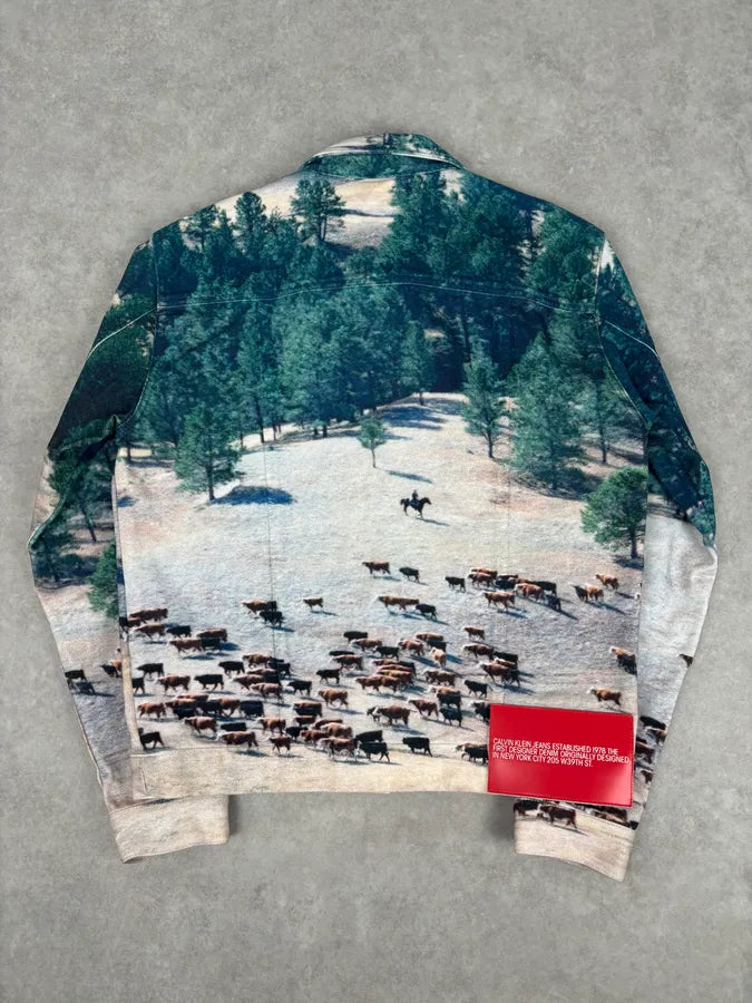 AW2018 Calvin Klein Printed Landscape Scene Graphic Denim Jacket KdsbWWP 4