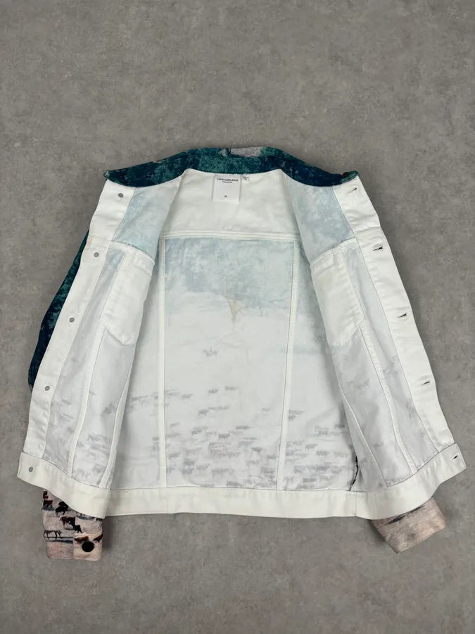 AW2018 Calvin Klein Printed Landscape Scene Graphic Denim Jacket KdsbWWP 6