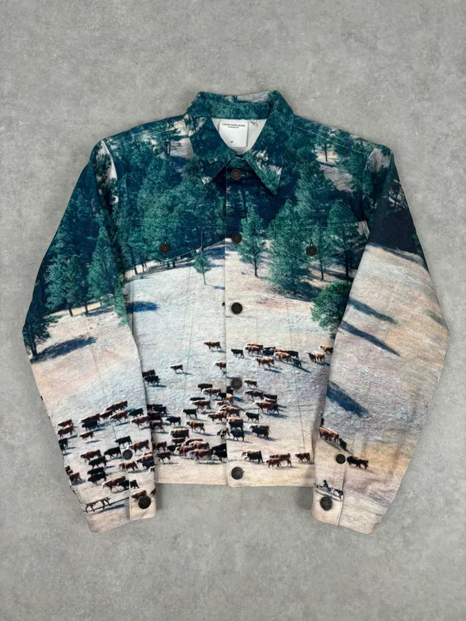 AW2018 Calvin Klein Printed Landscape Scene Graphic Denim Jacket KdsbWWP 0