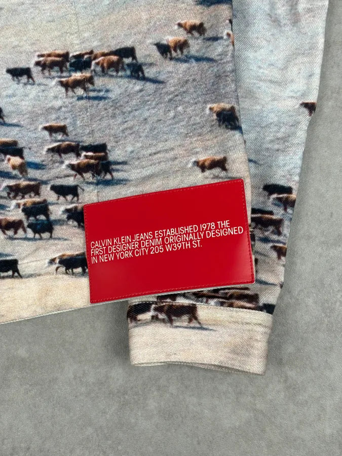 AW2018 Calvin Klein Printed Landscape Scene Graphic Denim Jacket KdsbWWP 9