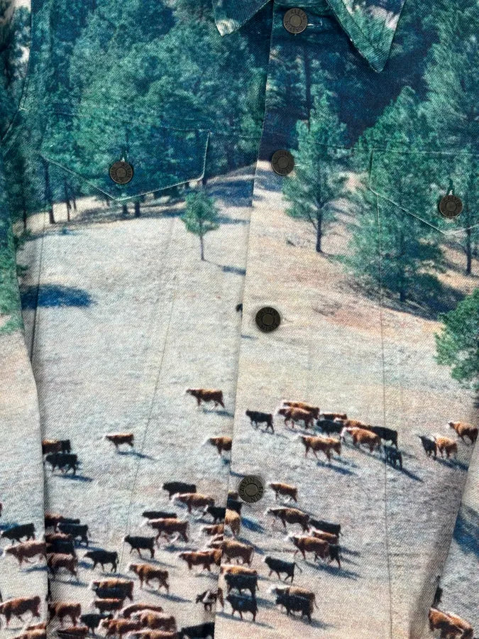 AW2018 Calvin Klein Printed Landscape Scene Graphic Denim Jacket KdsbWWP 7