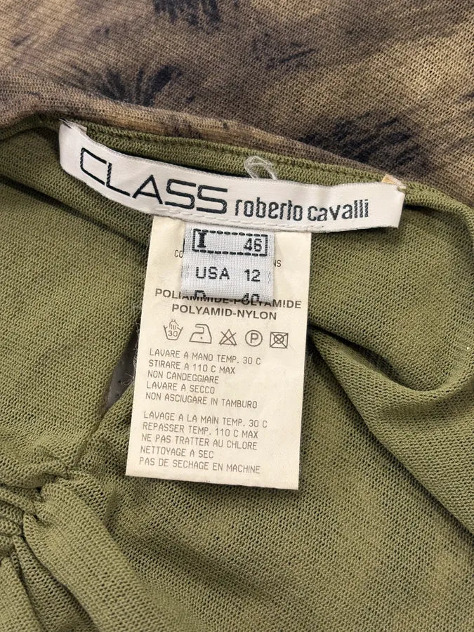 FW2001 Roberto Cavalli Faded Safari Zebra Dress JjUMabr 5