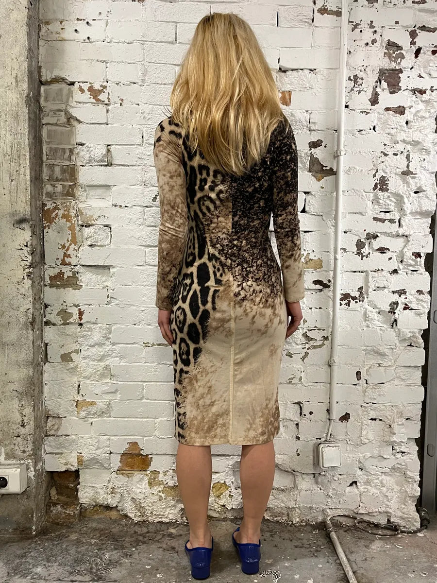 FW2001 Roberto Cavalli Gradient Leopard Dress AiudWiH 2