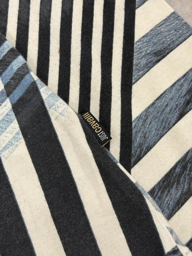 FW2004 Cavalli Blue & White Brush Striped Longsleeve T-Shirt svyatZh 7