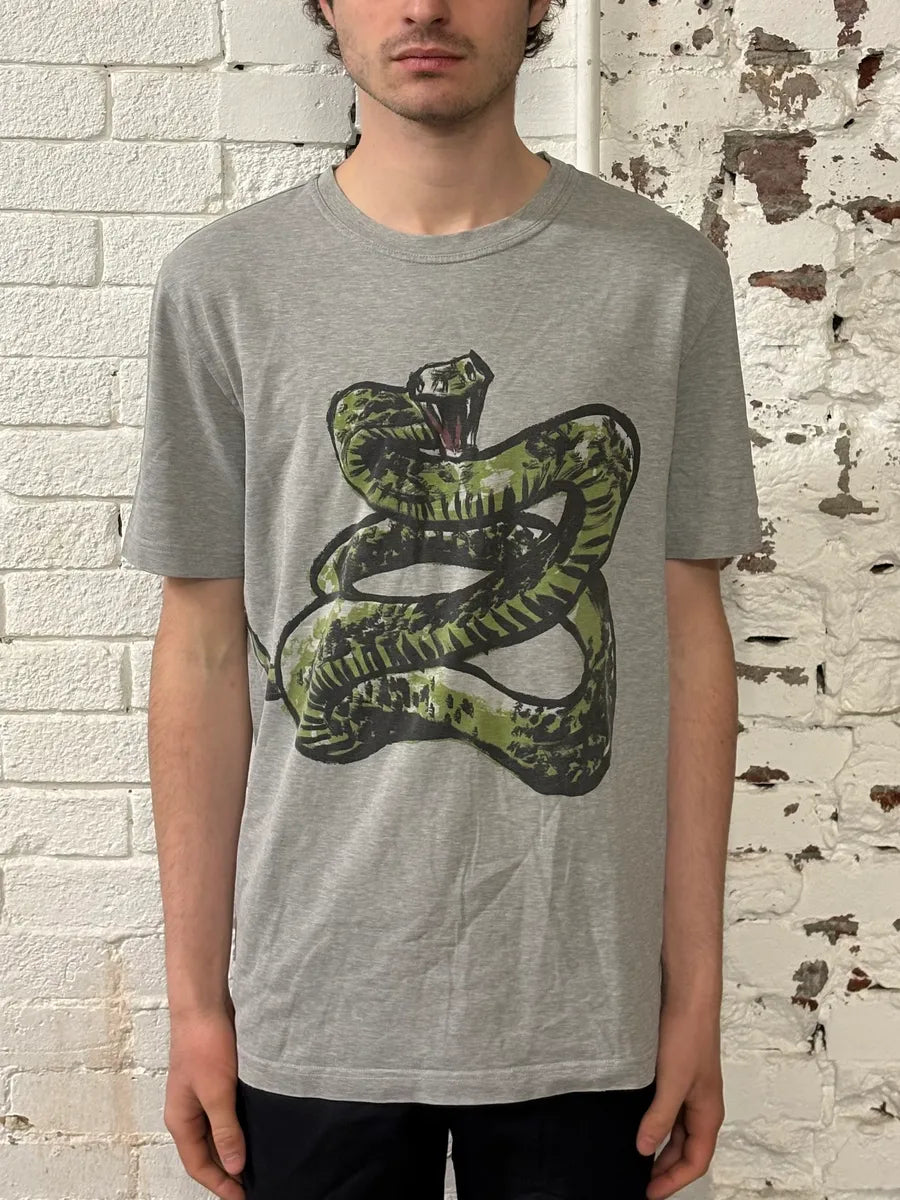 SS2016 Balenciaga Grey Snake T-Shirt FYqtjUm 1