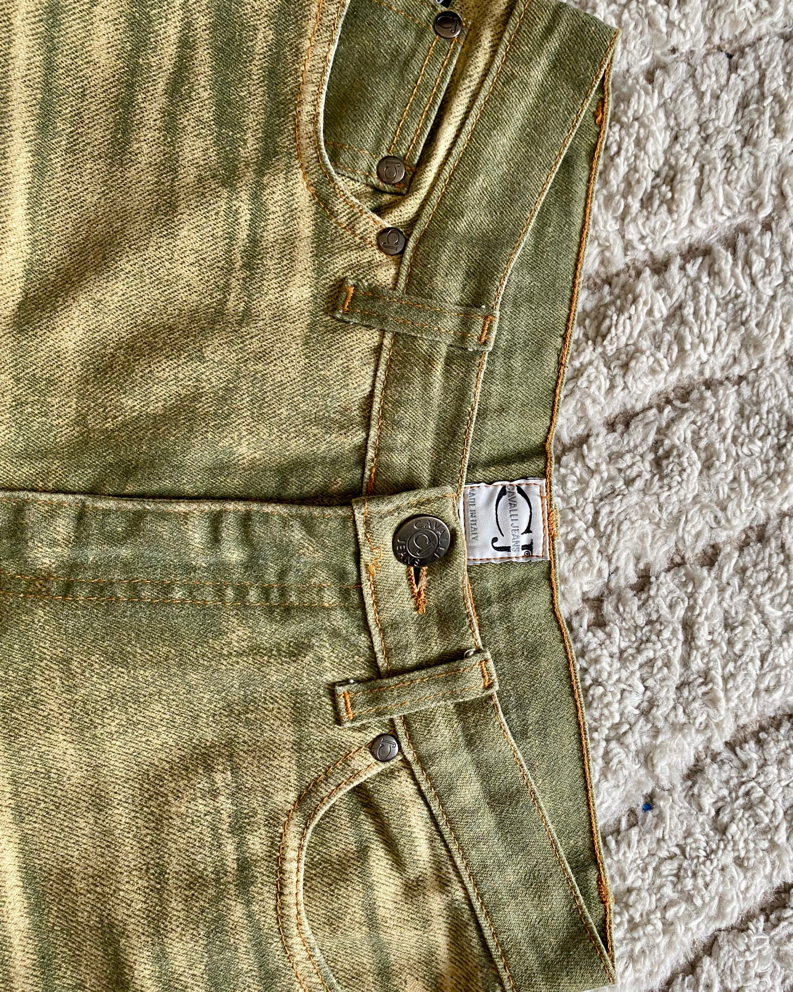Cavalli Arid Land Pants