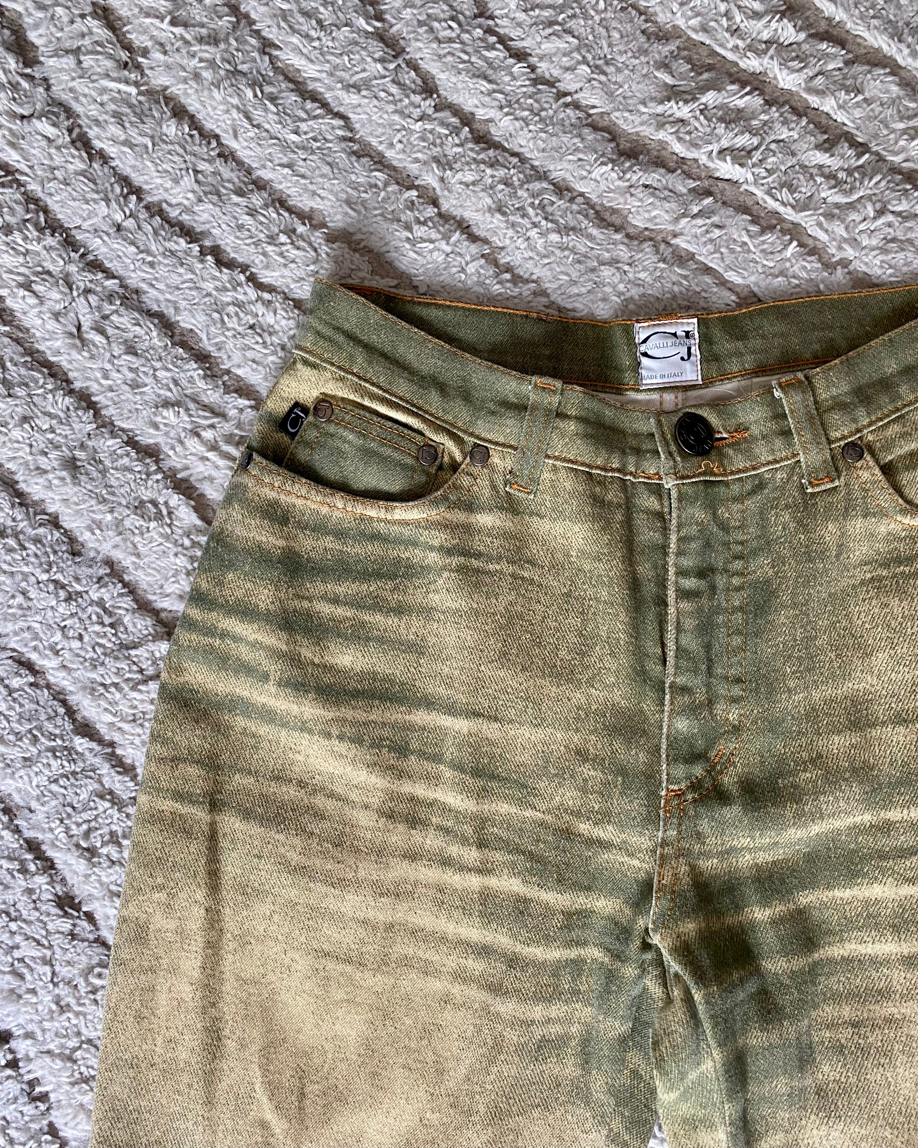 Cavalli Arid Land Pants