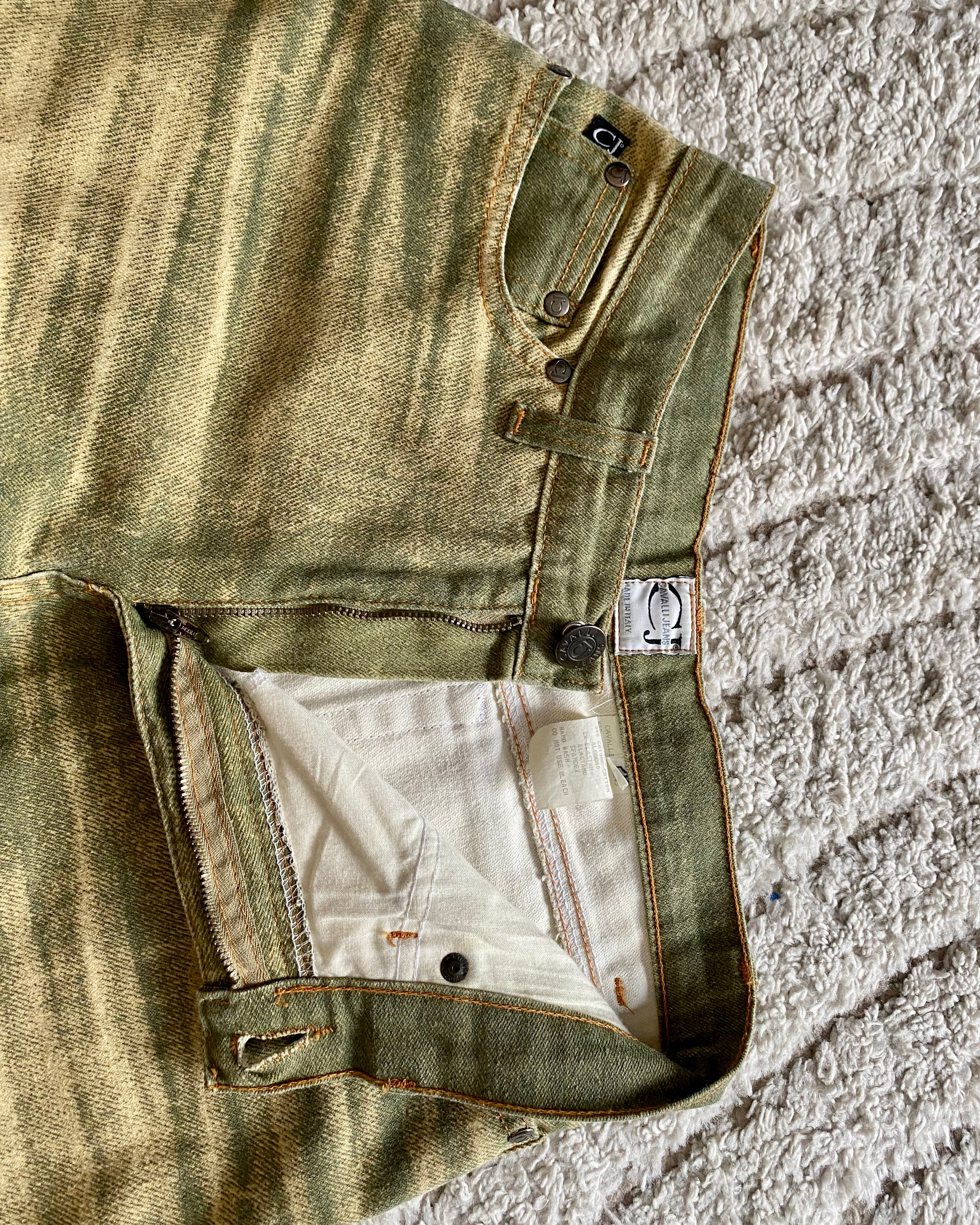 Cavalli Arid Land Pants