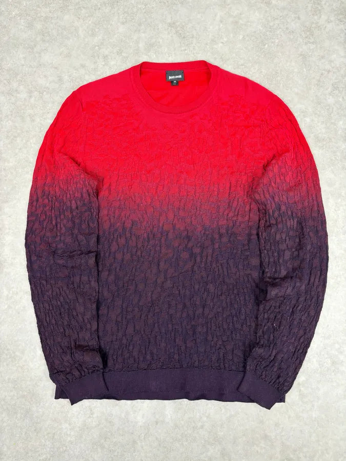 SS2016 Cavalli Red Black Ombre Wool Gradient Sweater SbmRuOe 0
