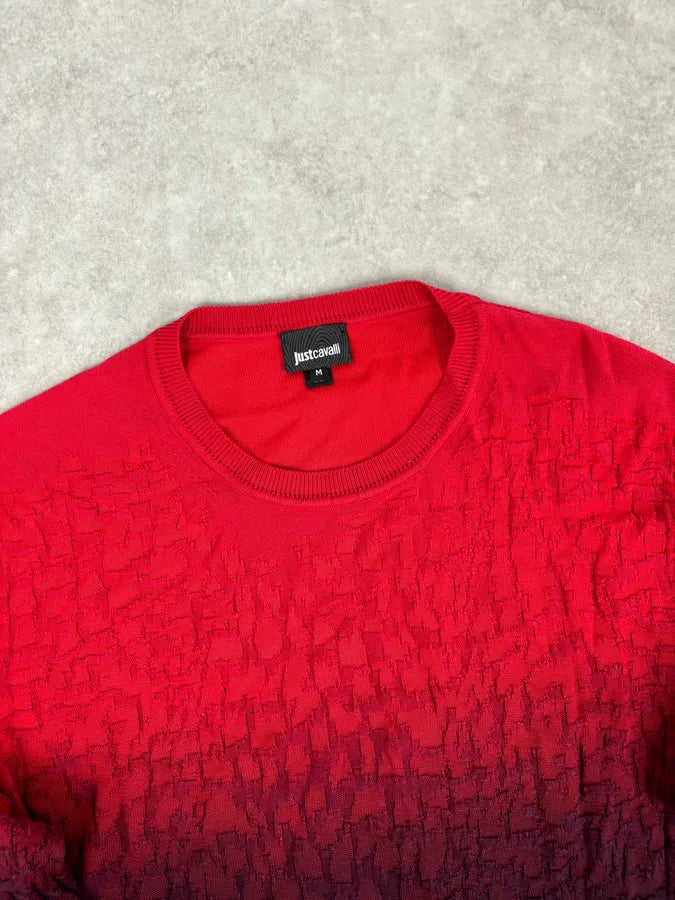 SS2016 Cavalli Red Black Ombre Wool Gradient Sweater SbmRuOe 3