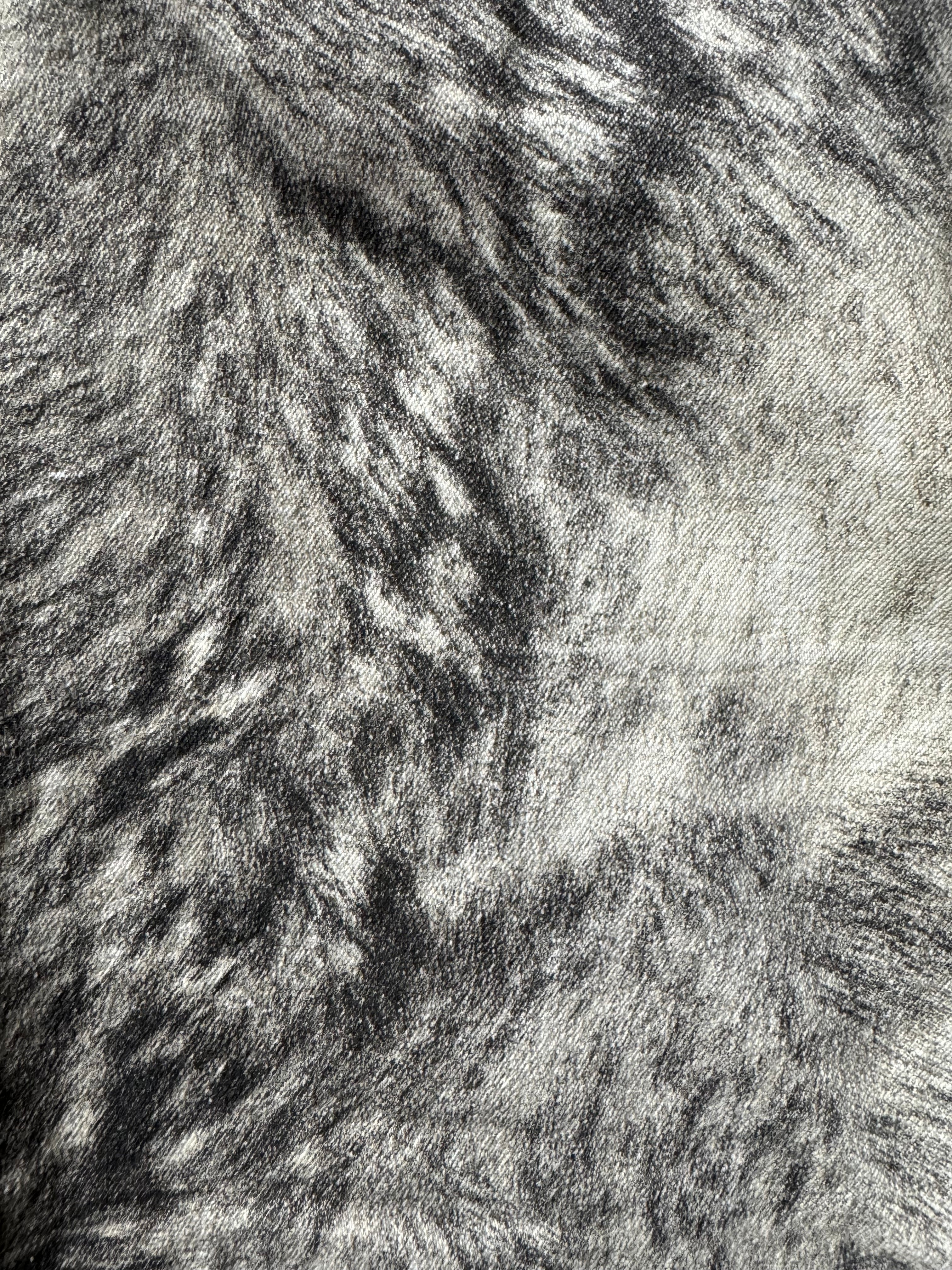 AW1999 Roberto Cavalli Heavy Animal Pants (S) - 6