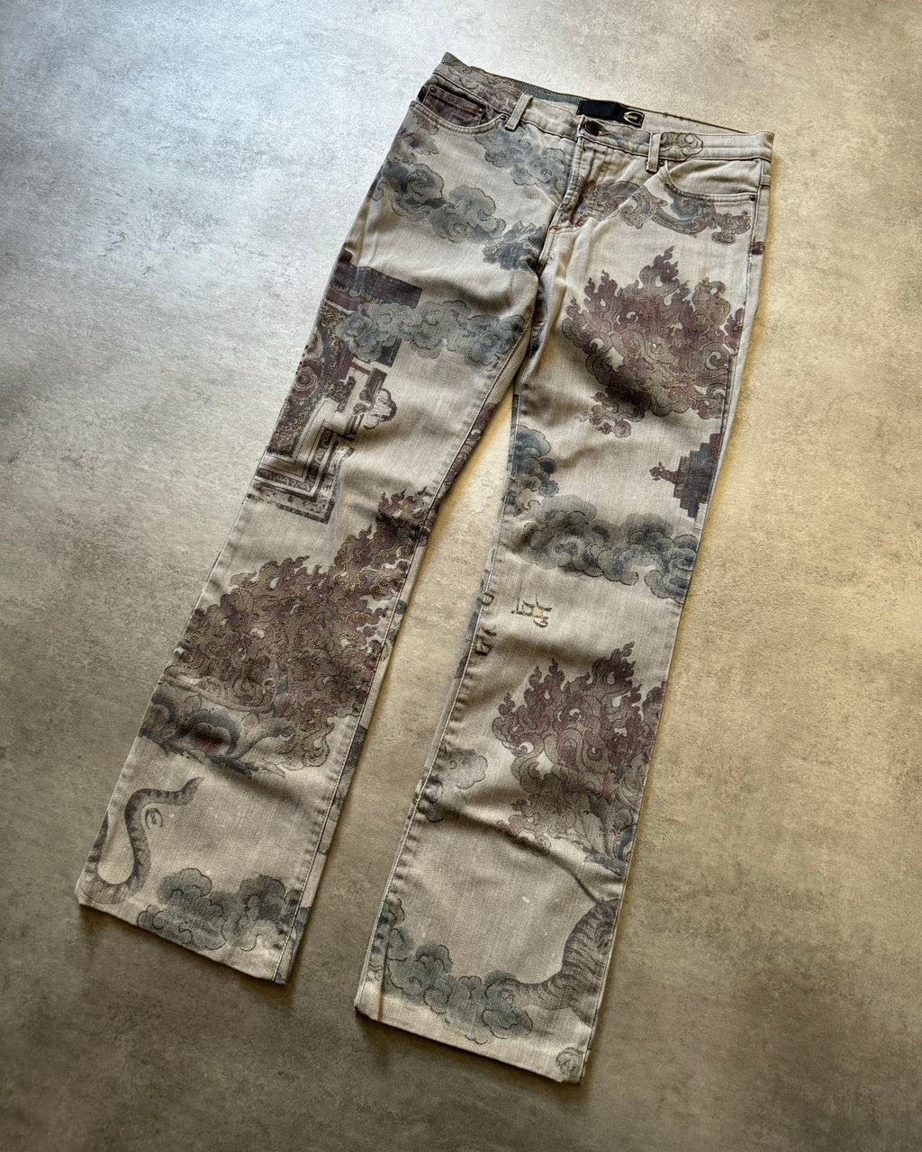 AW2003 Cavalli Asian World Grey Pants  (XS) - 3