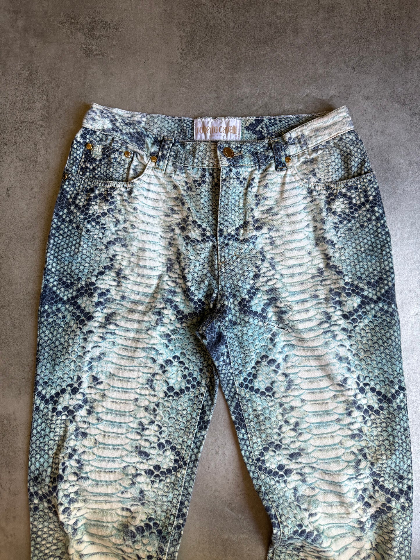 AW2002 Roberto Cavalli Aqua Scales Python Effect Pants  (S) - 7