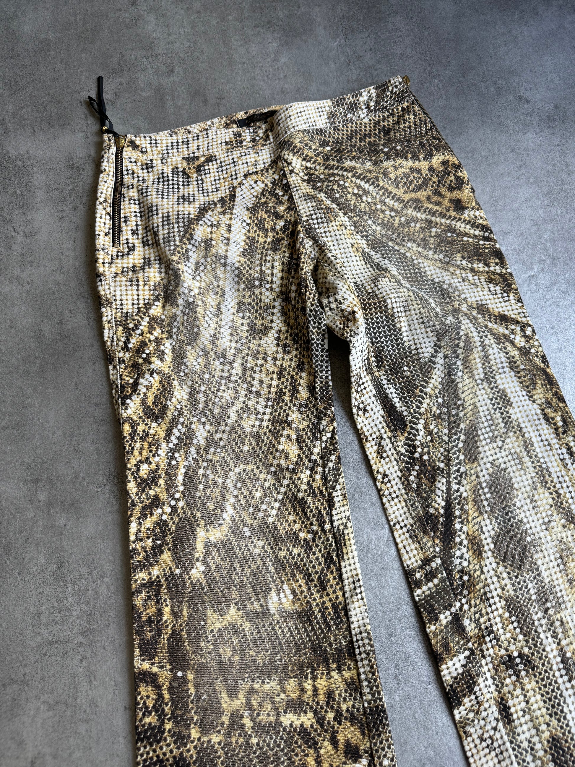 SS2003 Roberto Cavalli Luxurious Leopard Print Pants (S/M) - 2