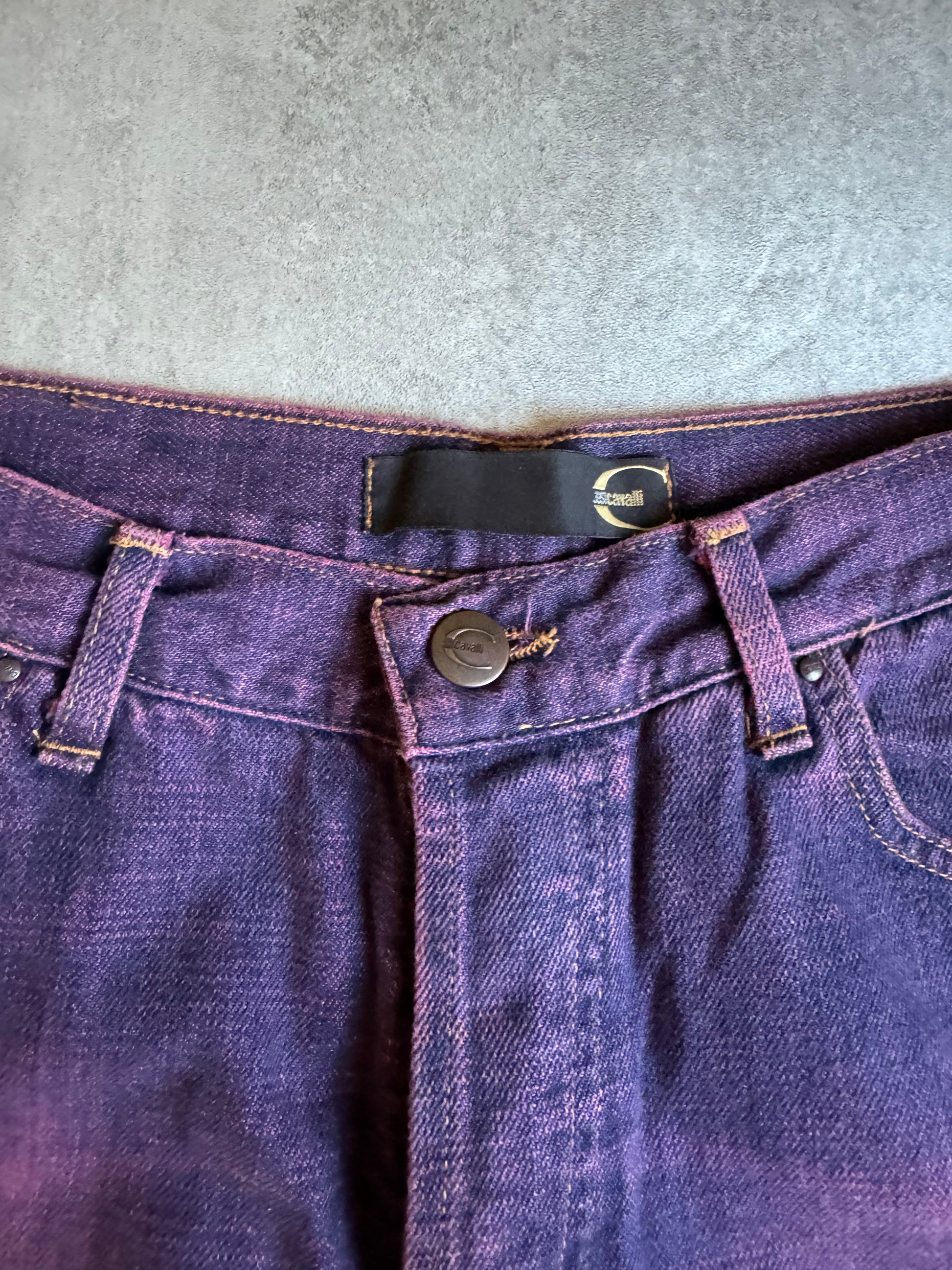 SS2007 Cavalli Eclipse Faded Purple Pants (M) - 9