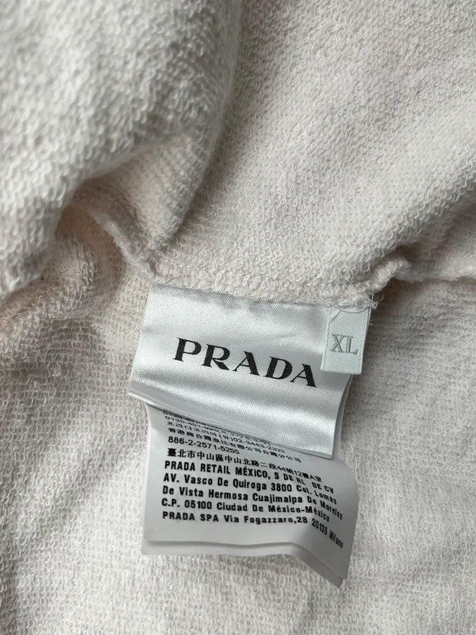 AW2019 Prada Pale Pink Zip-up Hoodie vwdcwNn 9
