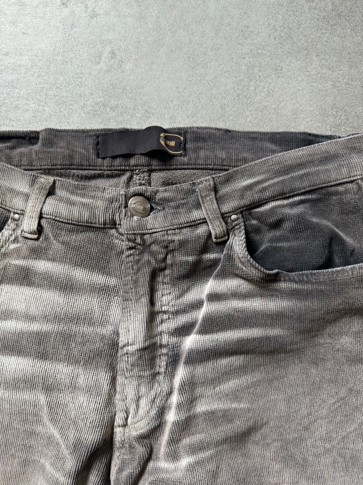 SS2004 Cavalli Velvet Grey Pants (S) - 7