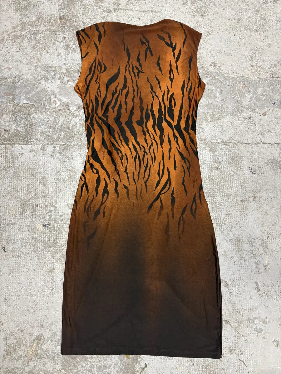 Roberto Cavalli Brown Camel Zebra Savage Dress CPAtPjN 1