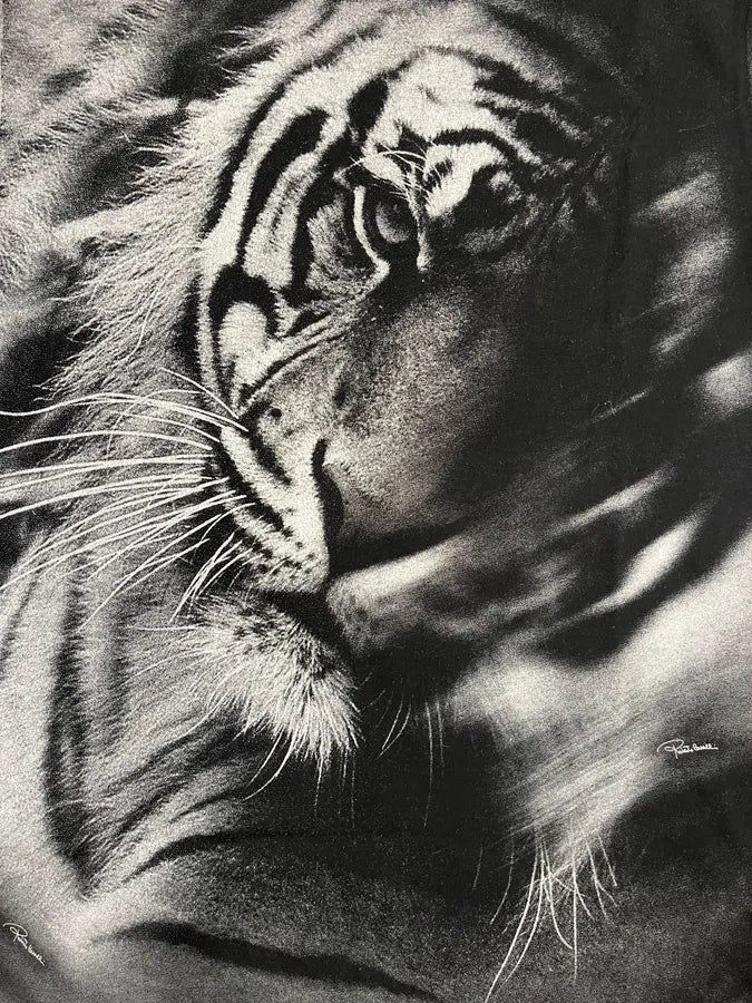 Roberto Cavalli Grey Dark Obscure Tiger Print Tee-Shirt (M/L) hVfyVfS 5