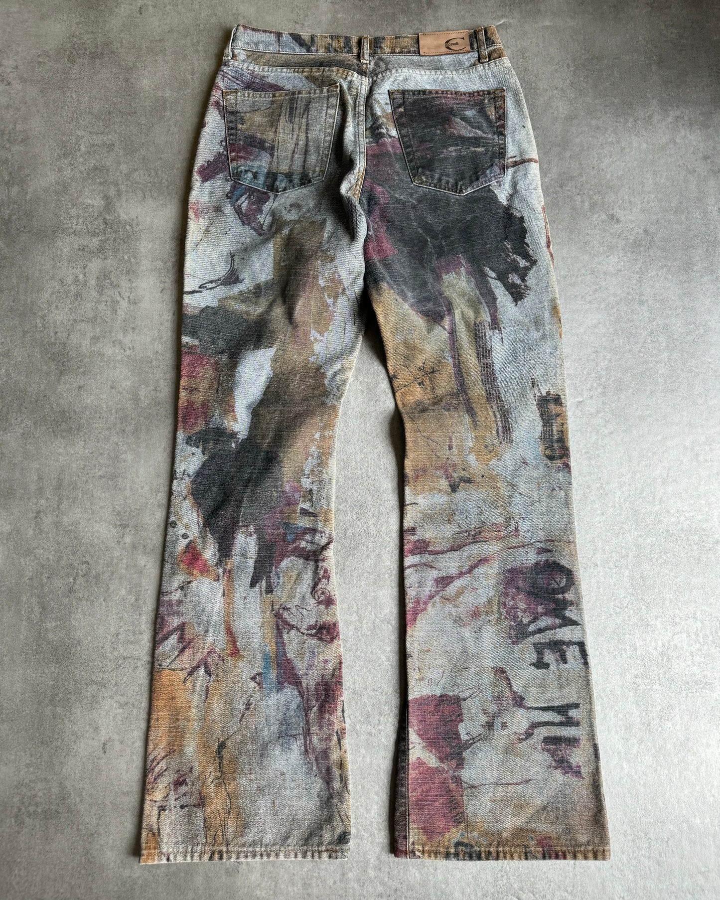 2000s Cavalli Archive French Dynasty Napoleon Denim Pants (S) - 2