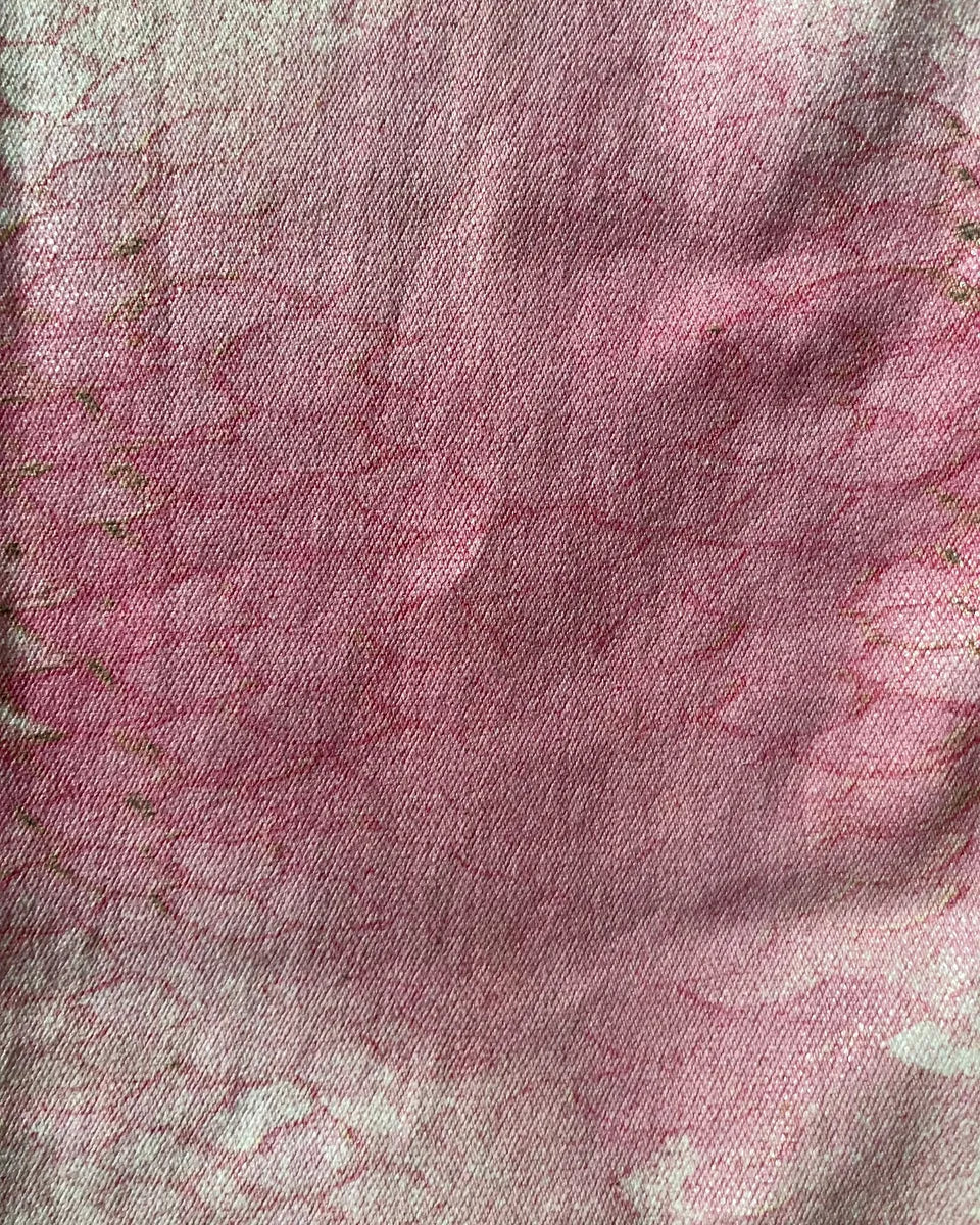SS2001 Cavalli Pink Hybrid Snakeskin Bees Pants (M) eUcJQUJ 6