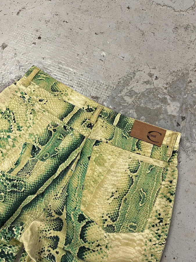 SS2005 Cavalli Python Print Green Acid Pants qgmpfBs 8