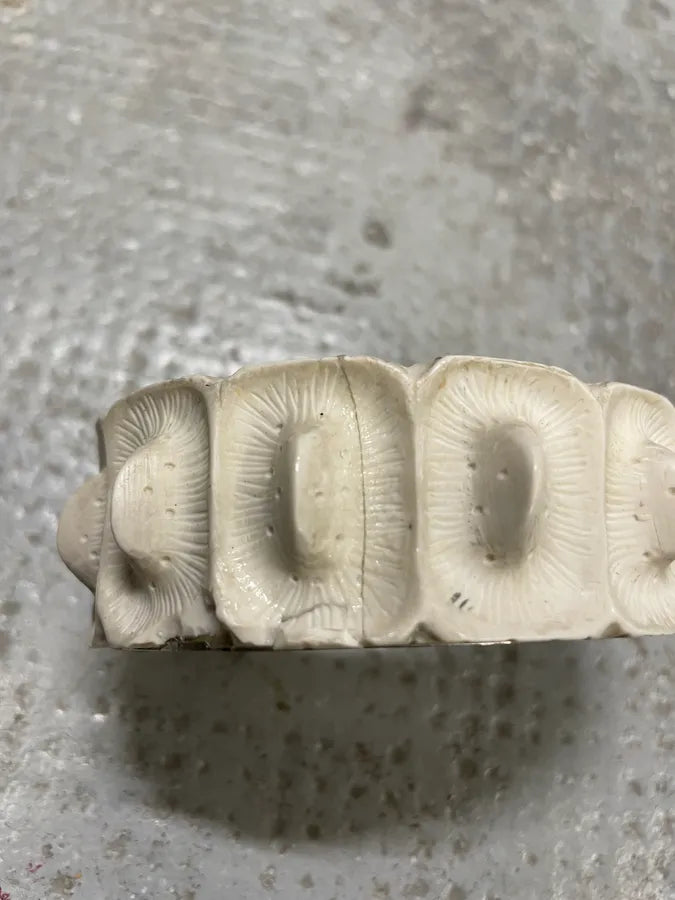 SS2005 Helmut Lang Alligator Resin Bracelet KrCqGKL 5