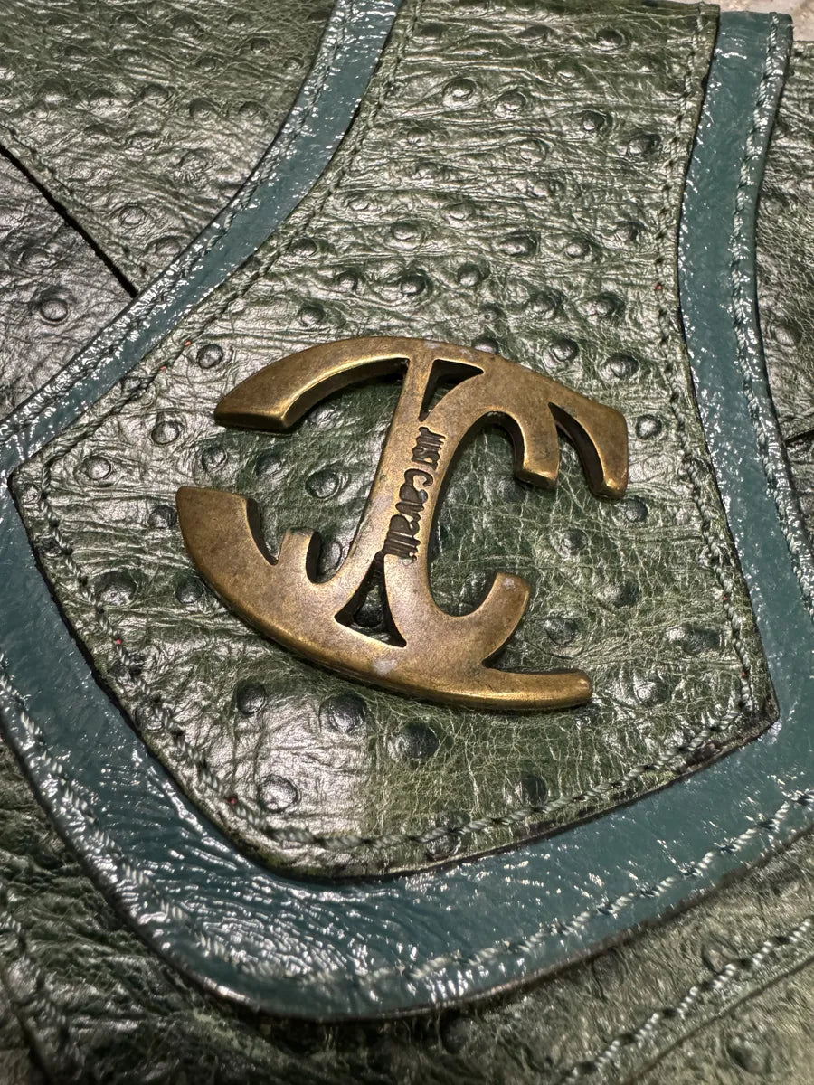 SS2008 Cavalli Ostrich Embossed Leather Green Horn Handle Bag oBLzCeV 10