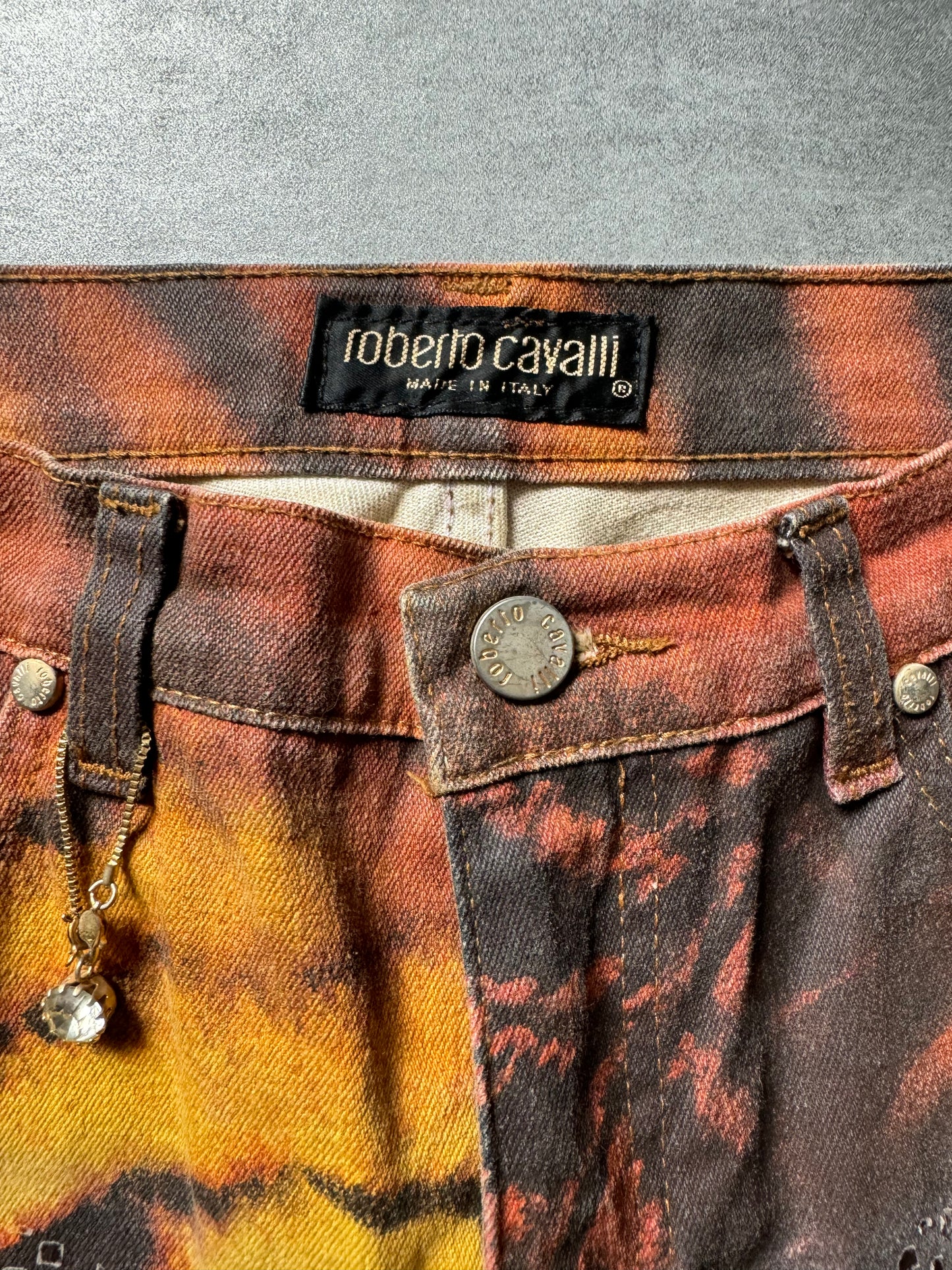 FW2000 Roberto Cavalli Savage Tiger Pants (S) - 6