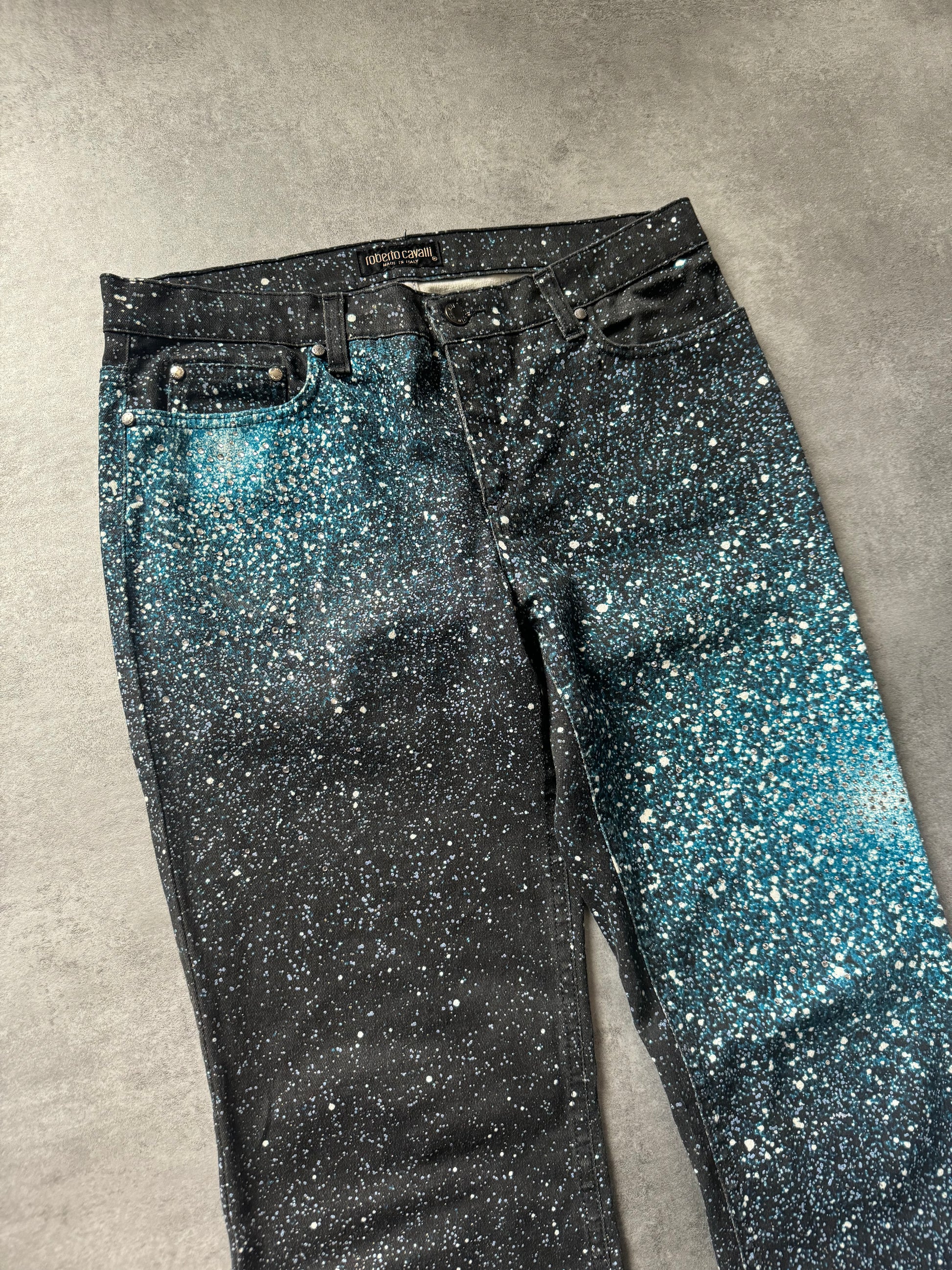 Roberto Cavalli Galaxy Expansion Blue Pants  (L) - 9