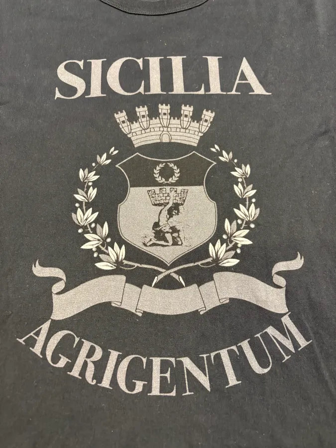 Dolce & Gabbana Sicilia Traditional Black T-shirt (S/M) ISNHyiI 6