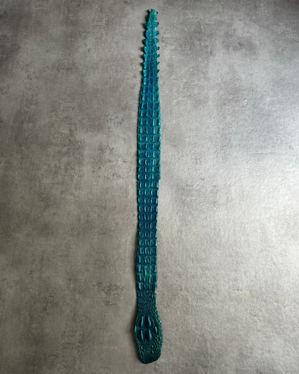 SS2005 Roberto Cavalli Genuine Crocodile Leather Blue Belt (OS) - 6