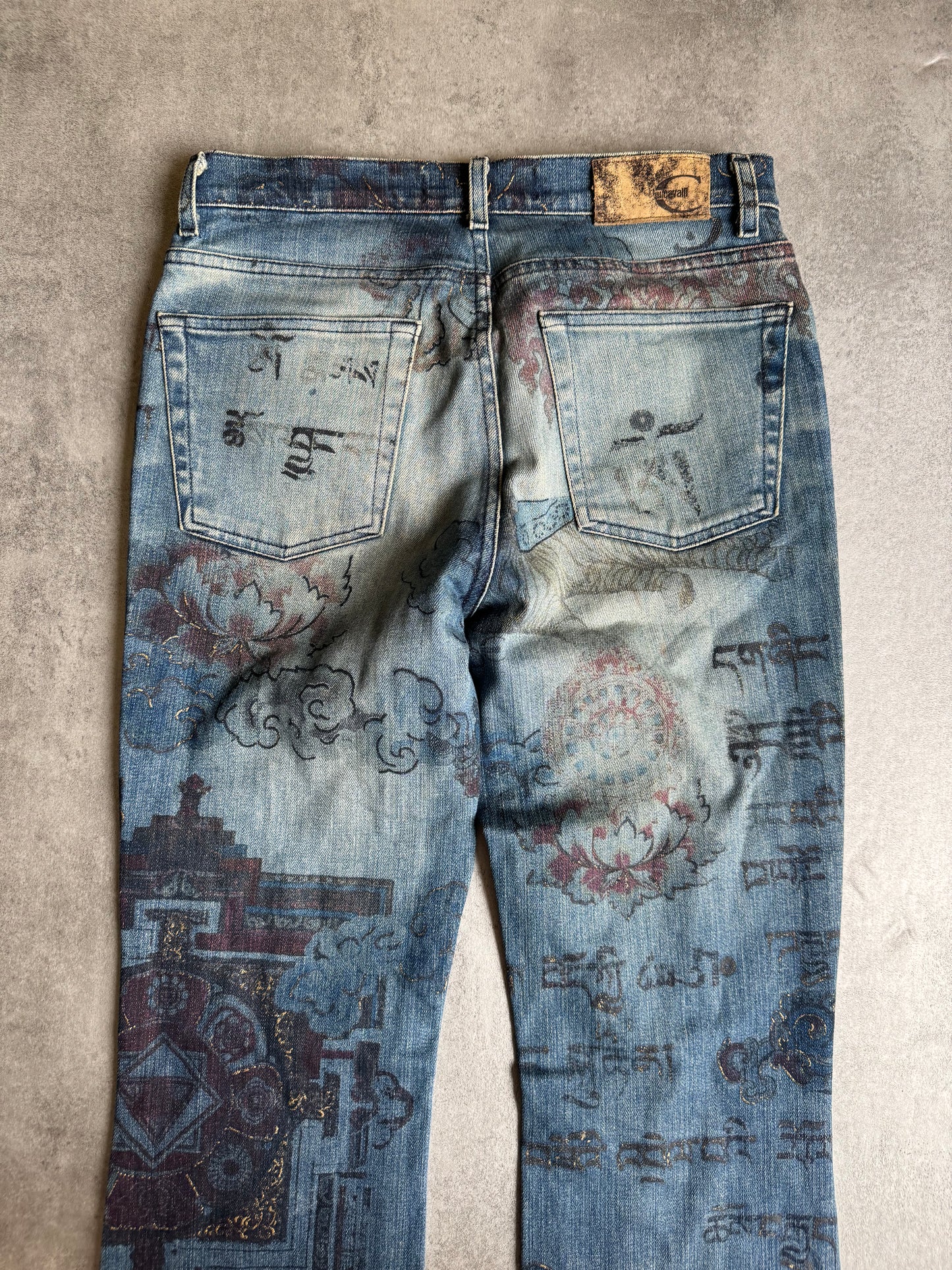 AW2003 Cavalli Fantasy Asian World Denim Jeans (S) - 4